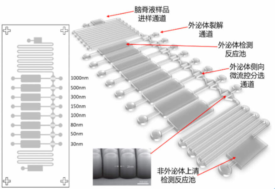 山东大学健康医疗大数据研究院-脑胶质瘤脑脊液外泌体液体活检微流控芯片