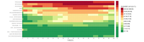 山东大学健康医疗大数据研究院-全人群全生命周期疾病负担图谱